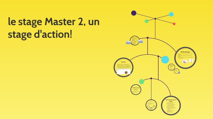 pr-sentation-stage-m2-by-bruno-verstraete-on-prezi