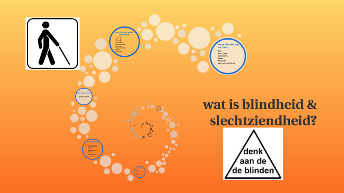 wat is blindheid & slechtziend? by Nina van 't klooster