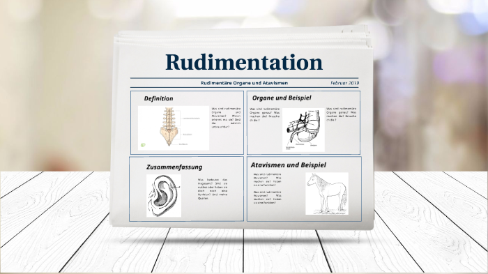 rudimentäre organe & atavismen by Lara Zippel on Prezi