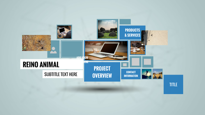Reinos de la naturaleza by salome rojas valencia on Prezi