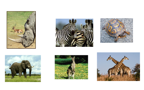 Evolution - ESL by Craig Rayson on Prezi