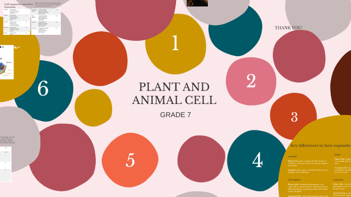 plant and animal cells by Ella Mae Subosa on Prezi