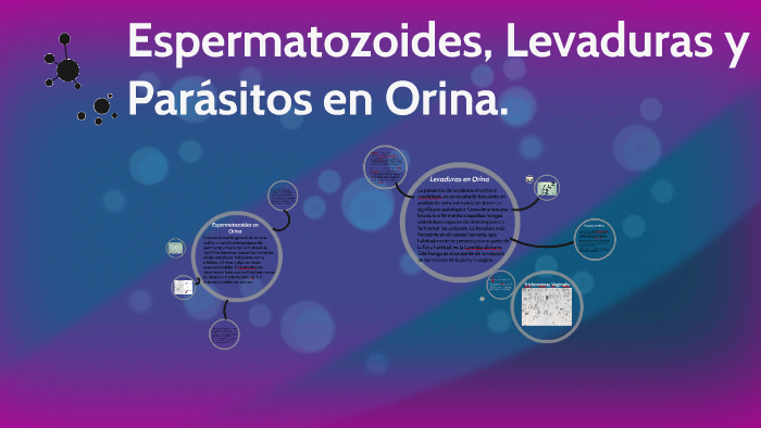 filamento de moco en examen de orina filamento de moco en examen de orina