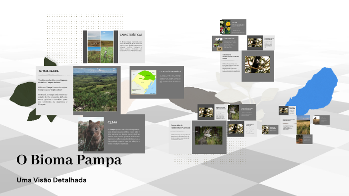 O Bioma Pampa by Condutor Aventura on Prezi