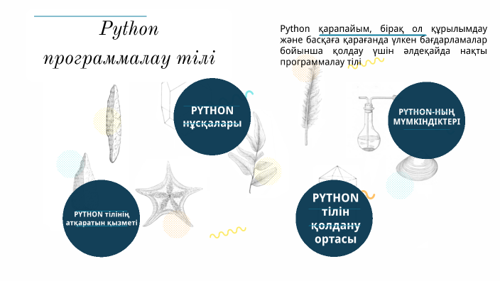 Python программалау тілі презентация