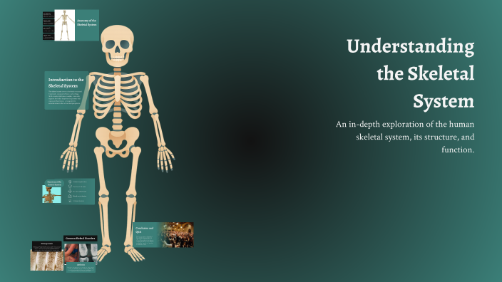 Understanding the Skeletal System by Lanya Sirwan on Prezi