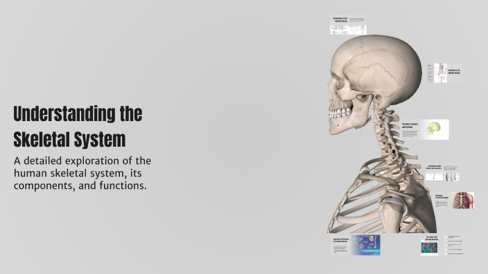 Understanding the Skeletal System by shaheena shihab on Prezi