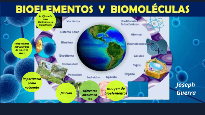 bioelementos y biomoléculas by edward guerra on Prezi