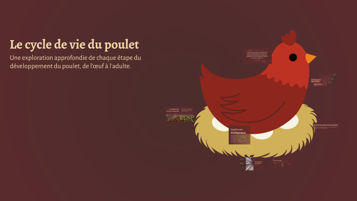 Le cycle de vie du poulet by Quyên Trần on Prezi