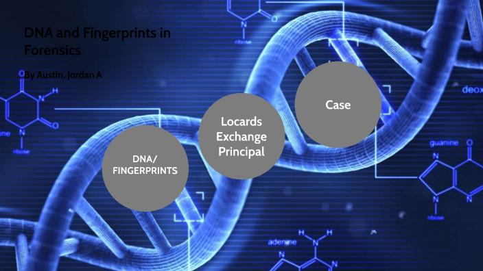 DNA and Fingerprints in Forensics by jordan austin on Prezi