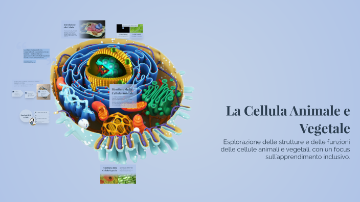 La Cellula Animale e Vegetale by Virginia Bilotta on Prezi
