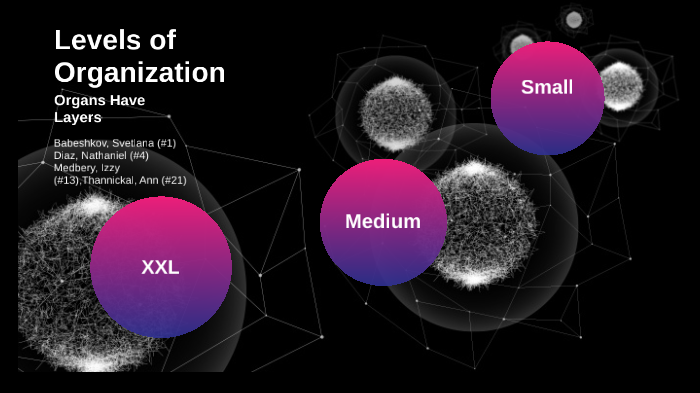 Levels of Organization by Svetlana Babeshkov on Prezi
