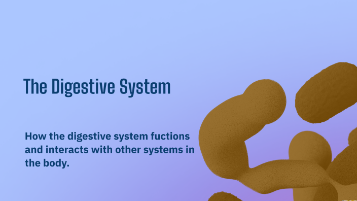 Understanding the Digestive System by Montanah Southern on Prezi
