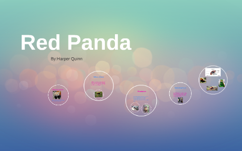 Harper Quinn by Erin Morris on Prezi