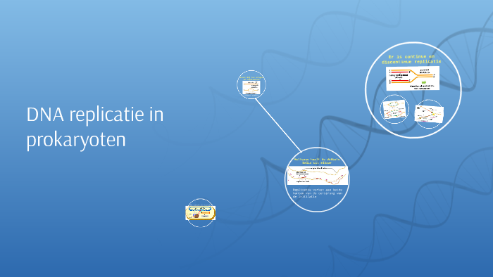 DNA replicatie in prokaryoten by Jozua Eijgenraam on Prezi