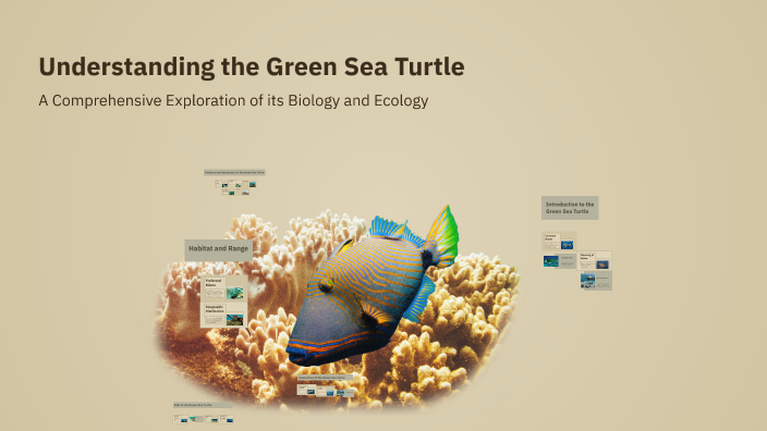 Understanding the Green Sea Turtle by Neyon Johnson on Prezi