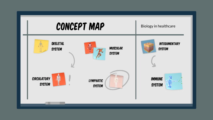 Concept Map Stage 3 by Daniela Rodríguez on Prezi
