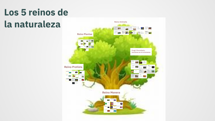Los 5 reinos de la naturaleza by Pérez Pérez Faysi Adair on Prezi