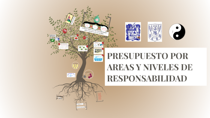 PRESUPUESTO POR AREAS Y NIVELES DE RESPONSABILIDAD by