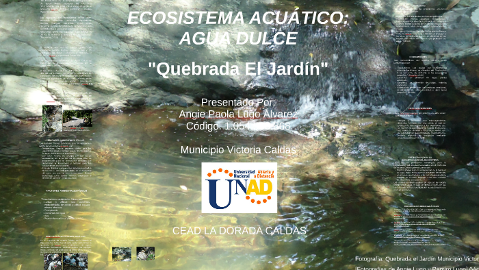 ECOSISTEMA ACUÁTICO by ANGIE PAOLA LUGO ALVAREZ on Prezi