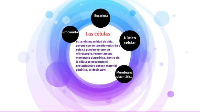 La Celula Es La Minima Unidad De Vida Consejos Celulares