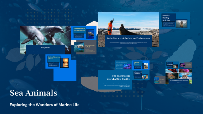 Exploring Sea Animals by Andressa Lamaison on Prezi