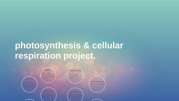 photosynthesis & cellular respiration project. by madeline nelson