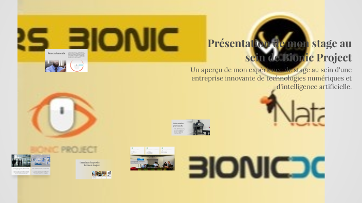 Présentation de mon stage au sein de Bionic Project by El Hadji Ndiaye ...