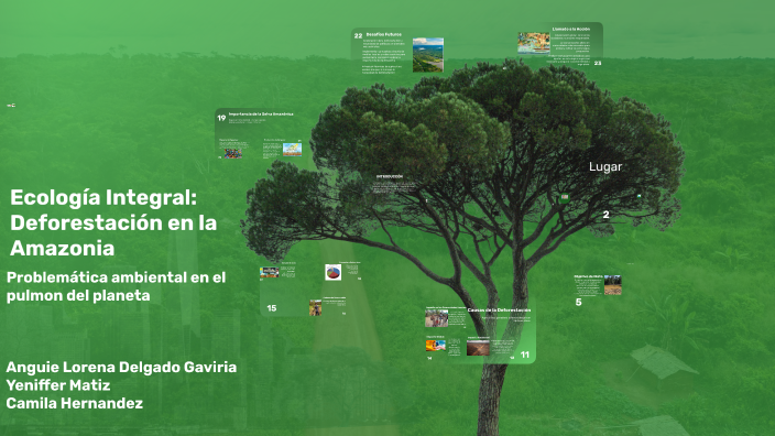Problema de la Deforestación en la Amazonía by Lorena Delgado on Prezi