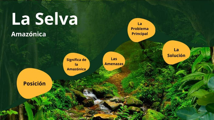 The Amazon Rainforest by Lana Schroeder on Prezi