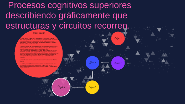 Estructuras Y Funcionalidad Del Sistema Nervioso Con Los Procesos Cognitivos Superiores By 7306