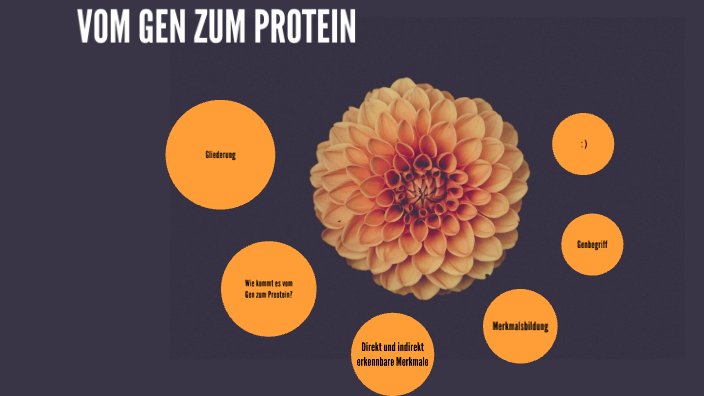 vom Gen zum Protein by Lilly Girke on Prezi
