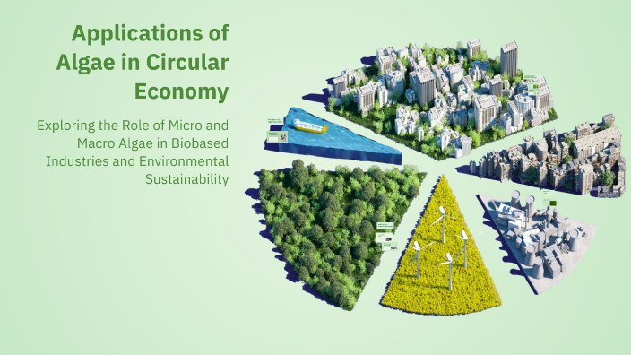 Applications Of Algae In Circular Economy By Vi Ni On Prezi