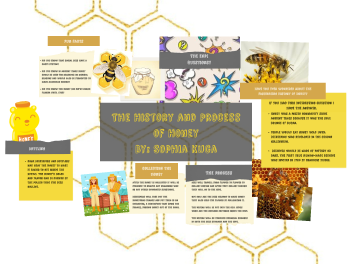 Bees and Honey by Sophia Kuca on Prezi