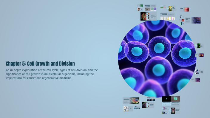 Chapter 5: Cell Growth and Division by kayson pellerin on Prezi
