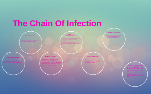 The Chain Of Infection by sandra drumheller on Prezi