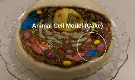 Animal Cell Model Cake By Kiki Asad