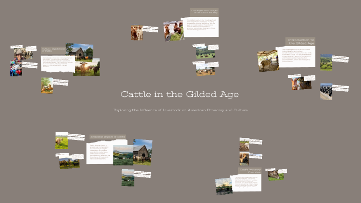 Cattle in the Gilded Age by Madison David on Prezi