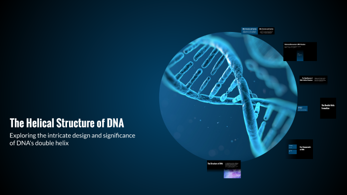 The Helical Structure of DNA by Nazlı Konak on Prezi