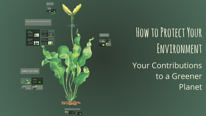 How to Protect Your Environment by Er. Sanjeev Sharma on Prezi