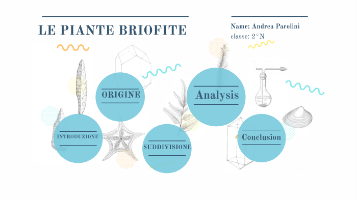 le-piante-briofite-by-andrea-parolini-on-prezi