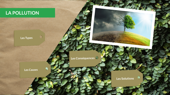La Pollution by Andrea Spada on Prezi