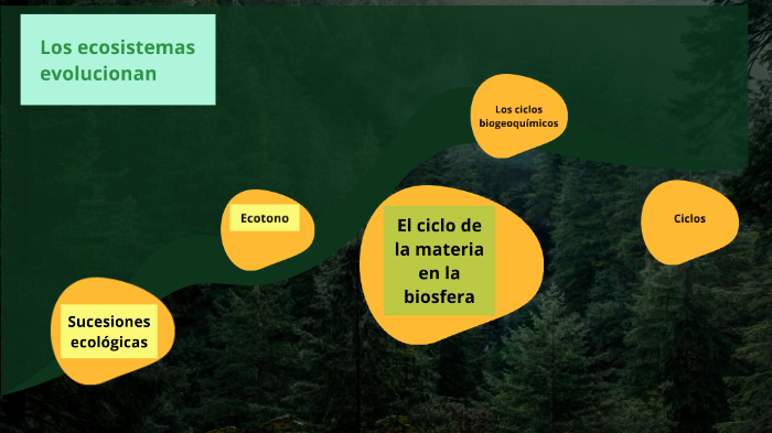 Los ecosistemas by Andrea Ortega Alcántara on Prezi
