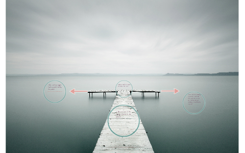 Gunns timber tasmania image