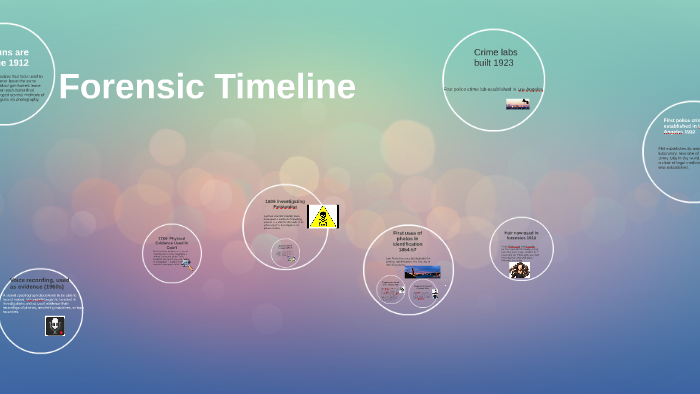 Forensic Timeline by abby gorman