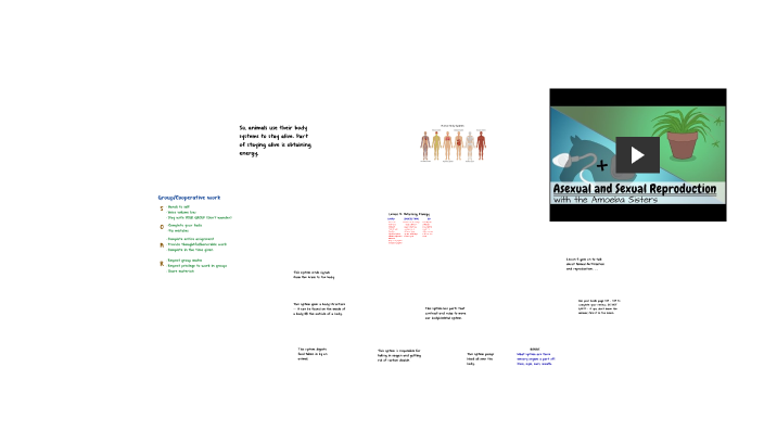 7th CH 8 Lesson 4 by carl weber on Prezi