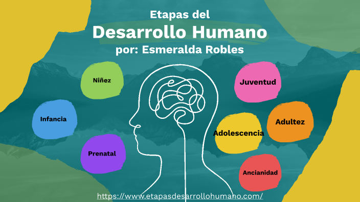 Etapas Del Desarrollo Humano By Dulce Esmeralda Robles Valencia On Prezi