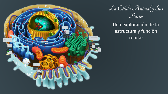 La Célula Animal y Sus Partes by Danna Sofia Ariza Rojas on Prezi