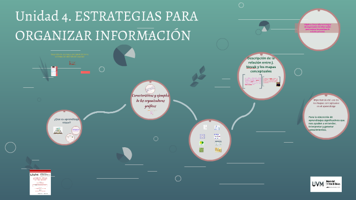 Estrategias Para La Organizacion De La Informacion