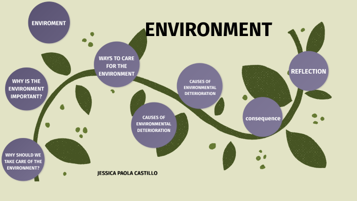 ENVIRONMENT by paola castillo on Prezi